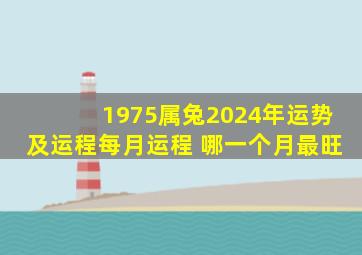 1975属兔2024年运势及运程每月运程 哪一个月最旺